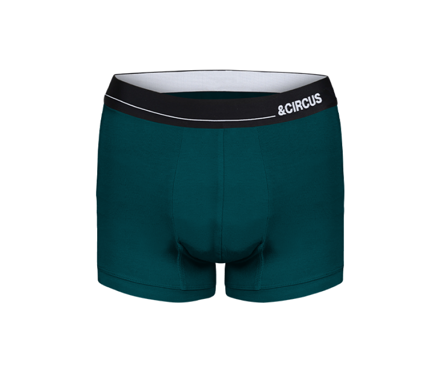 BOXER BRIEFS category
