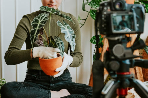 Video Content Drives Awareness of Eco-Friendly Fabrics