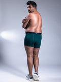 Men Boxer Briefs Racing Green Back
