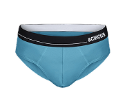 BRIEFS category